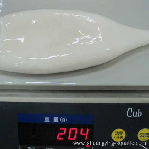 Wholesale Frozen Cleaned Giant Squid Tube For Sale